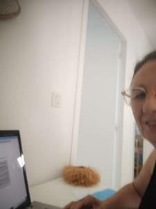 Auditez votre site web afin de savoir s'il est prêt pour capter des clients à l'international