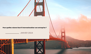 pour quelles raisons internationaliser son entreprise ?