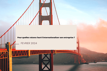 pour quelle raison faut-il internationaliser son entreprise ?